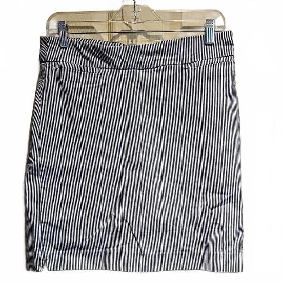 Briggs Striped Blue and White Skirt size 10 - Picture 1 of 7